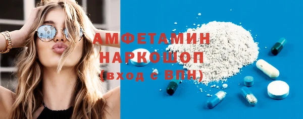 гашик Пестово