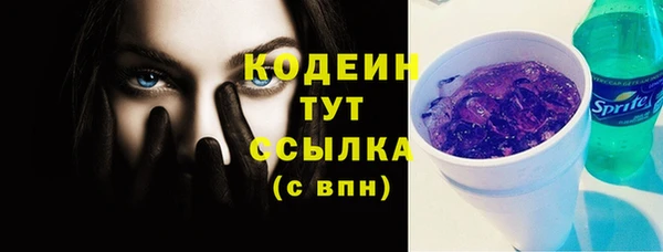 гашик Пестово