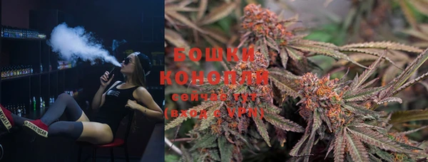 гашик Пестово