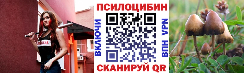 продажа наркотиков  Ленинск  Псилоцибиновые грибы мухоморы 